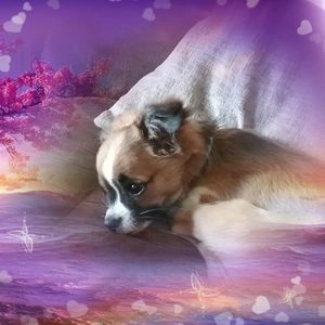 Meet your Posher, Darlene